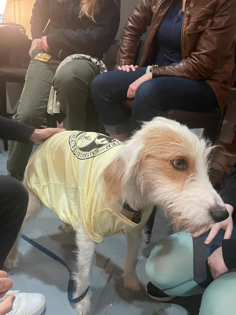 Dr. Petersen's dog, Catfish, modeling a CEID t-shirt